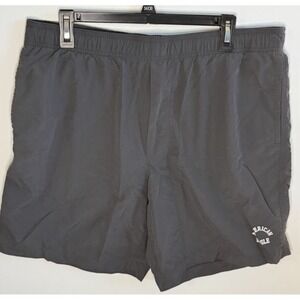 American Eagle All Day Shorts Men's Size Large Gray Nylon 8" Inseam Fast Ship